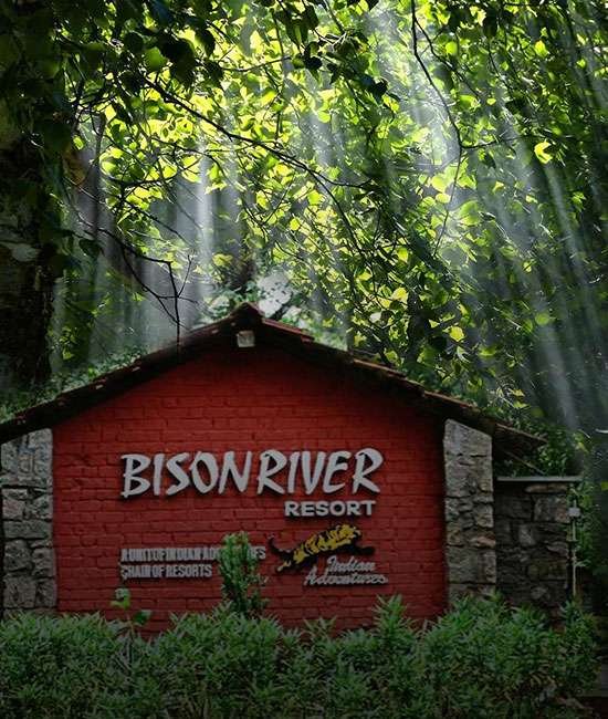 Bison-Resort