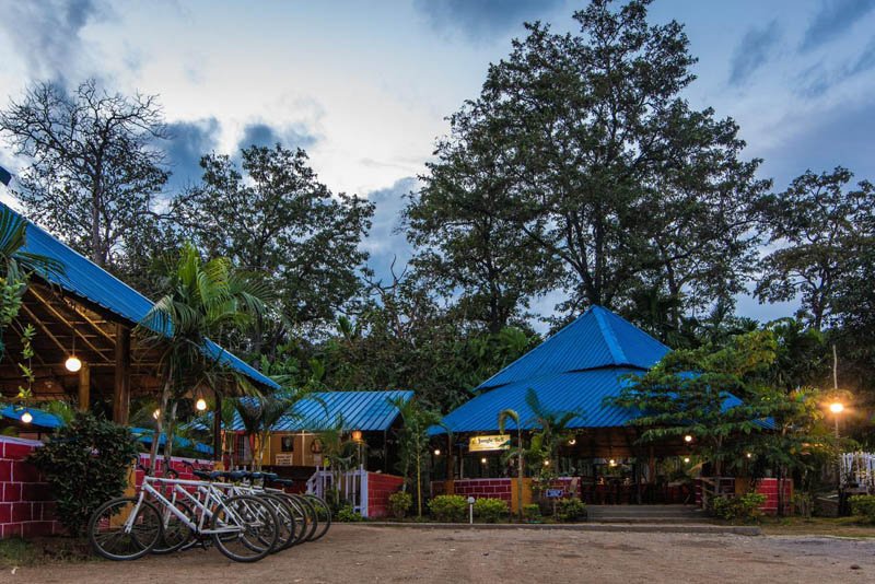 Jungle Bell Resort