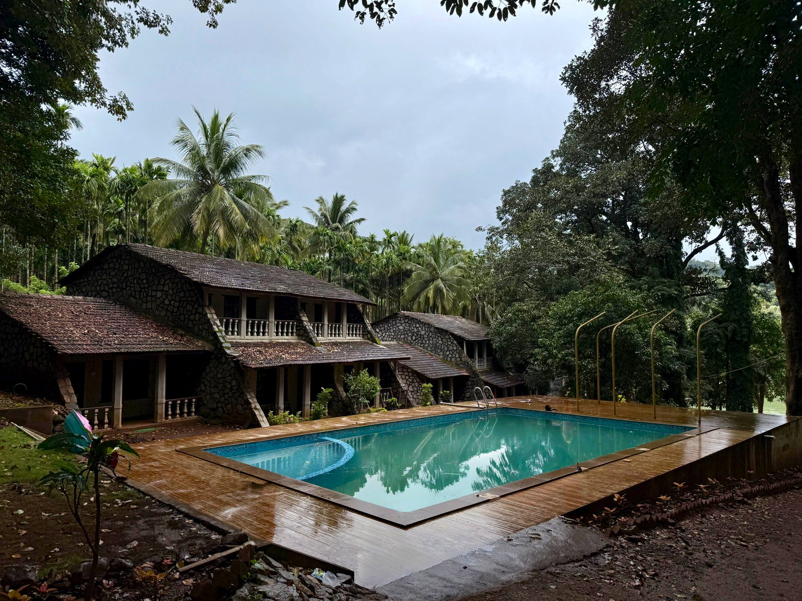 Jungle View Homestay