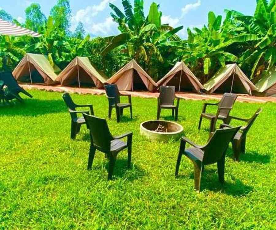 white-petal-homestay