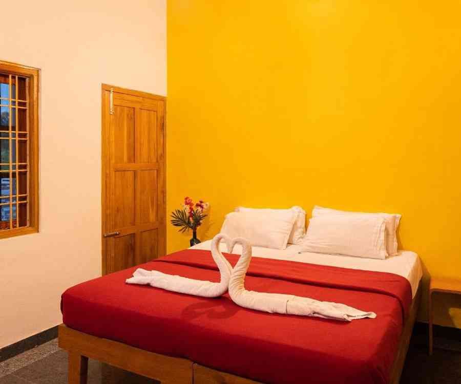 white-petal-homestay